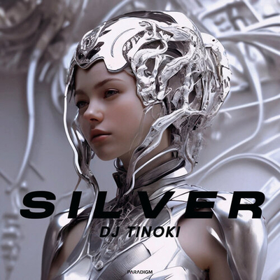 Постер DJ TINOKI - SILVER